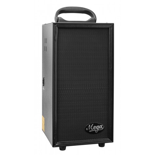 mp-80UEC  Echo cordless with 2 External speaker